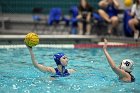 WWPolo vs CC  Wheaton College Women’s Water Polo compete in their sports inaugural match vs Connecticut College. - Photo By: KEITH NORDSTROM : Wheaton, water polo, inaugural